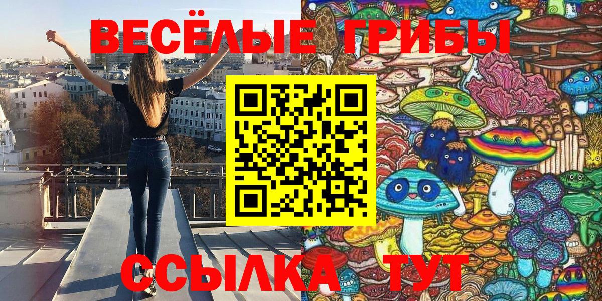 Галлюциногенные грибы Psilocybe Мирный