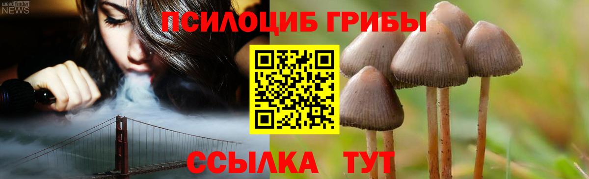 Галлюциногенные грибы мицелий  Галлюциногенные грибы прущие грибы  где можно купить наркотик  Мирный  Вход с VPN 